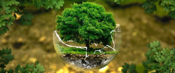 Environment